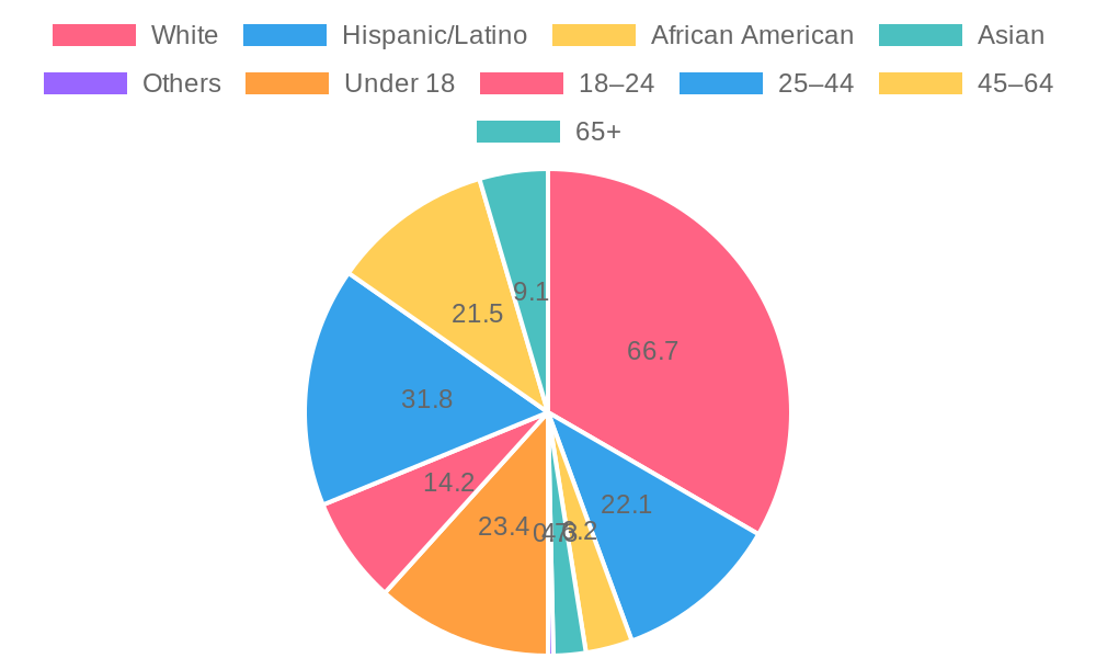 Ethnicity and Age Distribution Chart